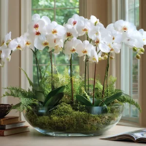 peu de gens le savent cette plante fait plus pour lamour que les applis