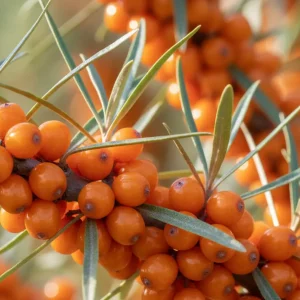 test 199