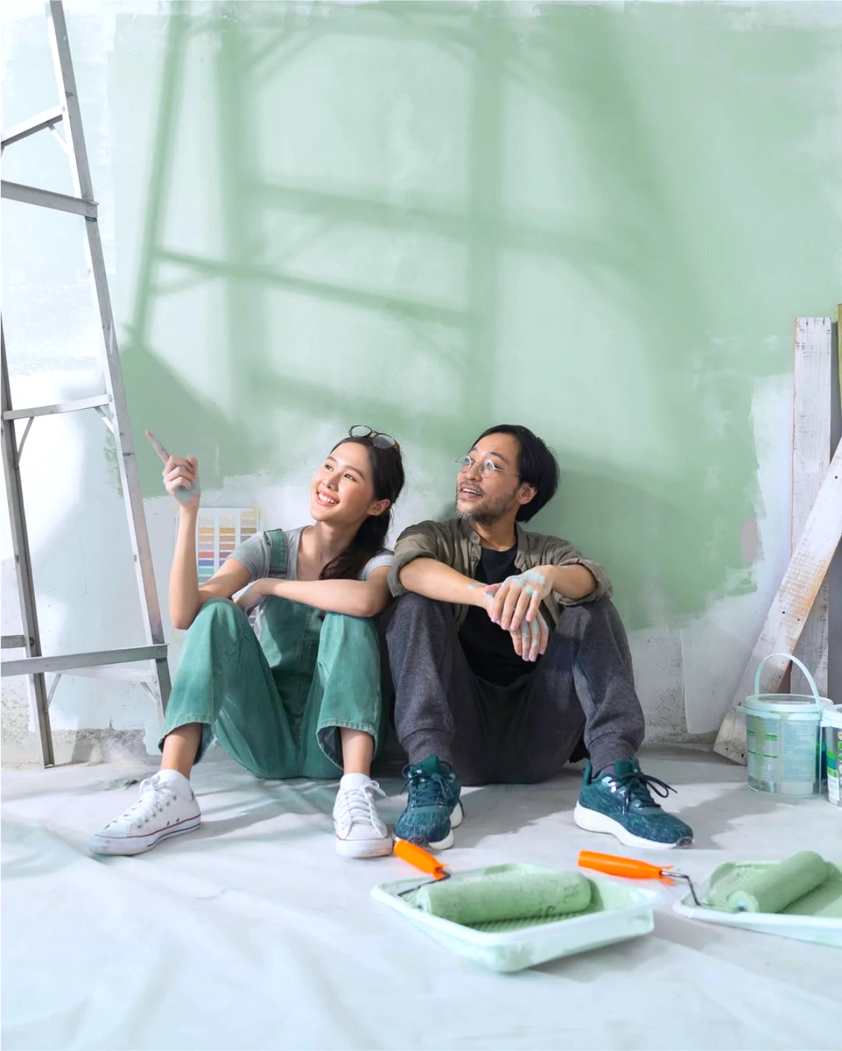 assurance habitation cardif demenagement couples traveaux mur vert