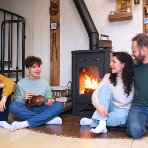 poele a bois famille devant le feu