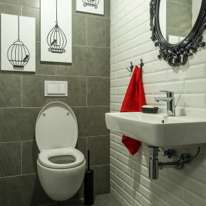 wc suspendu brico cash2 main