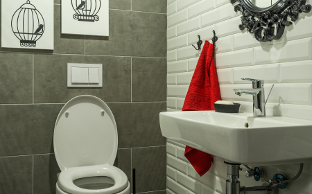 wc suspendu brico cash2 main